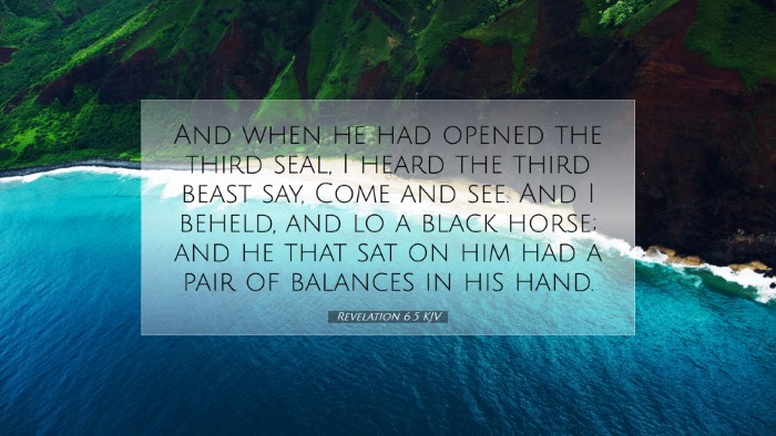 Picture 07 - Revelation 6:5 KJV Desktop Wallpaper - And when he had opened the third seal, I heard - Desktop Bible Verse Wallpaper