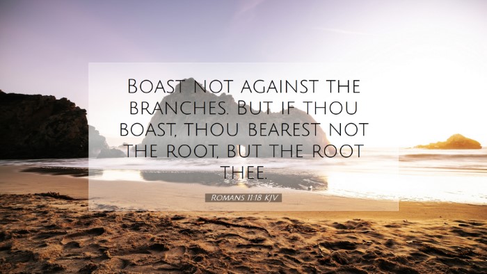 Picture 07 - Romans 11:18 KJV Desktop Wallpaper - Boast not against the branches. But if thou - Desktop Bible Verse Wallpaper