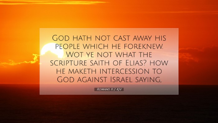 Picture 07 - Romans 11:2 KJV Desktop Wallpaper - God hath not cast away his people which he - Desktop Bible Verse Wallpaper