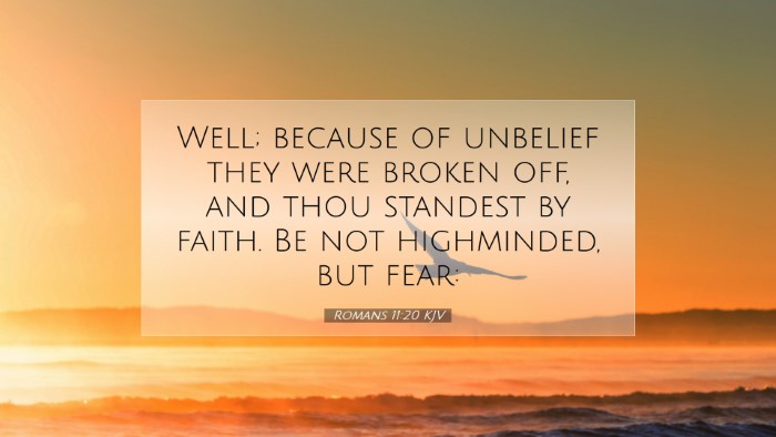 Picture 07 - Romans 11:20 KJV Desktop Wallpaper - Well; because of unbelief they were broken off, - Desktop Bible Verse Wallpaper