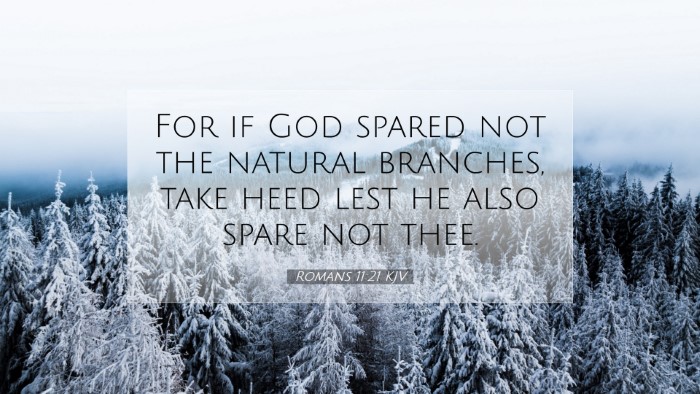 Picture 07 - Romans 11:21 KJV Desktop Wallpaper - For if God spared not the natural branches, take - Desktop Bible Verse Wallpaper