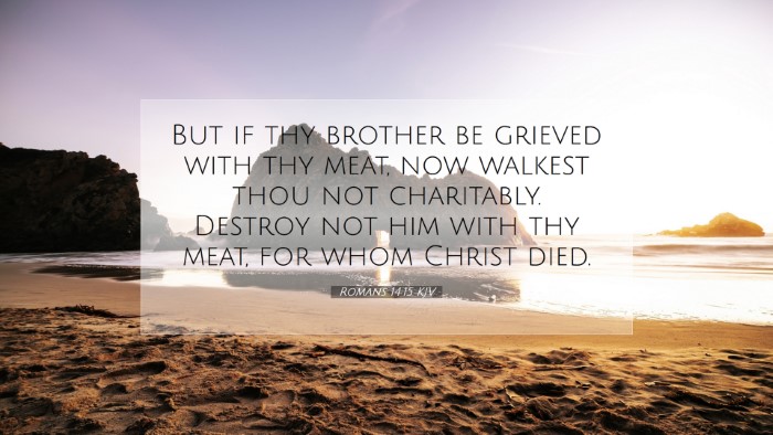 Picture 07 - Romans 14:15 KJV Desktop Wallpaper - But if thy brother be grieved with thy meat, now - Desktop Bible Verse Wallpaper