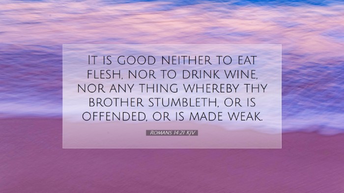 Picture 07 - Romans 14:21 KJV Desktop Wallpaper - It is good neither to eat flesh, nor to drink - Desktop Bible Verse Wallpaper