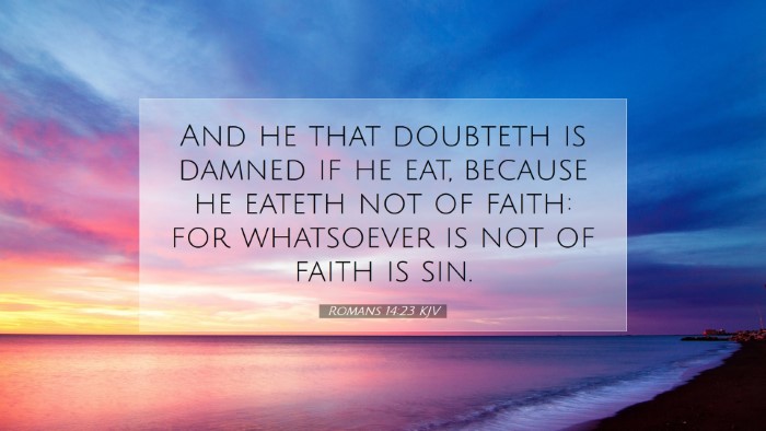 Picture 07 - Romans 14:23 KJV Desktop Wallpaper - And he that doubteth is damned if he eat, because - Desktop Bible Verse Wallpaper