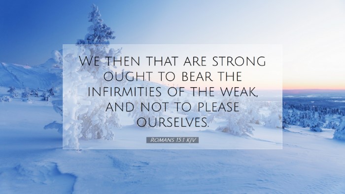 Picture 07 - Romans 15:1 KJV Desktop Wallpaper - We then that are strong ought to bear the - Desktop Bible Verse Wallpaper