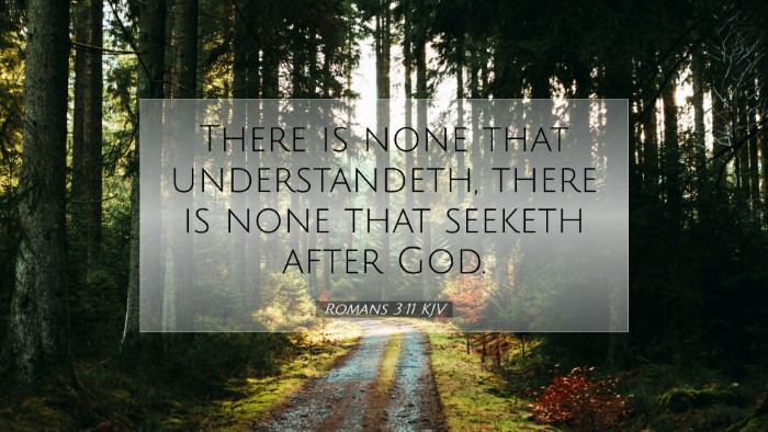 Picture 07 - Romans 3:11 KJV Desktop Wallpaper - There is none that understandeth, there is none - Desktop Bible Verse Wallpaper