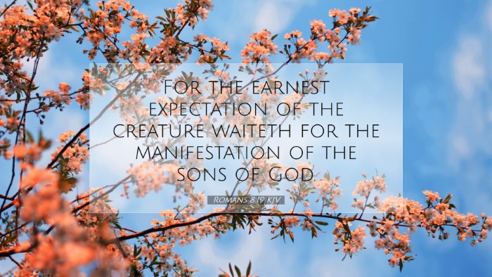 Picture 07 - Romans 8:19 KJV Desktop Wallpaper - For the earnest expectation of the creature - Desktop Bible Verse Wallpaper