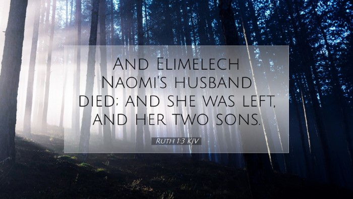 Picture 07 - Ruth 1:3 KJV Desktop Wallpaper - And Elimelech Naomi's husband died; and she was - Desktop Bible Verse Wallpaper