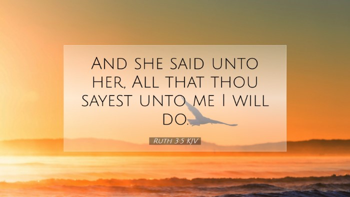 Picture 07 - Ruth 3:5 KJV Desktop Wallpaper - And she said unto her, All that thou sayest unto - Desktop Bible Verse Wallpaper