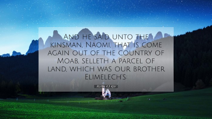 Picture 07 - Ruth 4:3 KJV Desktop Wallpaper - And he said unto the kinsman, Naomi, that is come - Desktop Bible Verse Wallpaper