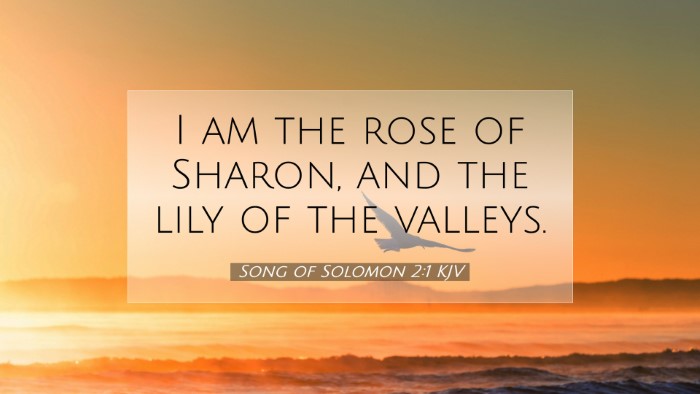 Picture 07 - Song of Solomon 2:1 KJV Desktop Wallpaper - I am the rose of Sharon, and the lily of the - Desktop Bible Verse Wallpaper