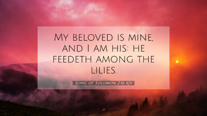 Picture 07 - Song of Solomon 2:16 KJV Desktop Wallpaper - My beloved is mine, and I am his: he feedeth - Desktop Bible Verse Wallpaper