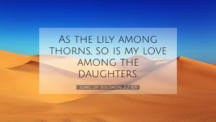 Picture 07 - Song of Solomon 2:2 KJV Desktop Wallpaper - As the lily among thorns, so is my love among the - Desktop Bible Verse Wallpaper