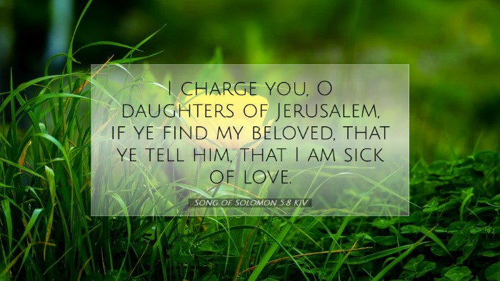 Picture 07 - Song of Solomon 5:8 KJV Desktop Wallpaper - I charge you, O daughters of Jerusalem, if ye - Desktop Bible Verse Wallpaper