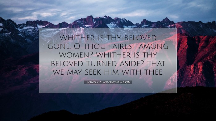 Picture 07 - Song of Solomon 6:1 KJV Desktop Wallpaper - Whither is thy beloved gone, O thou fairest among - Desktop Bible Verse Wallpaper