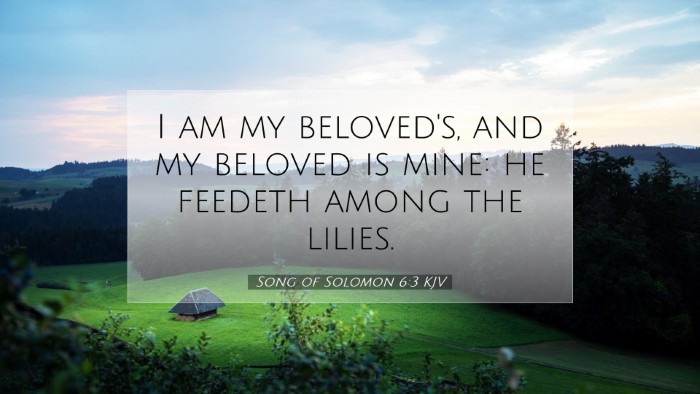 Picture 07 - Song of Solomon 6:3 KJV Desktop Wallpaper - I am my beloved's, and my beloved is mine: he - Desktop Bible Verse Wallpaper