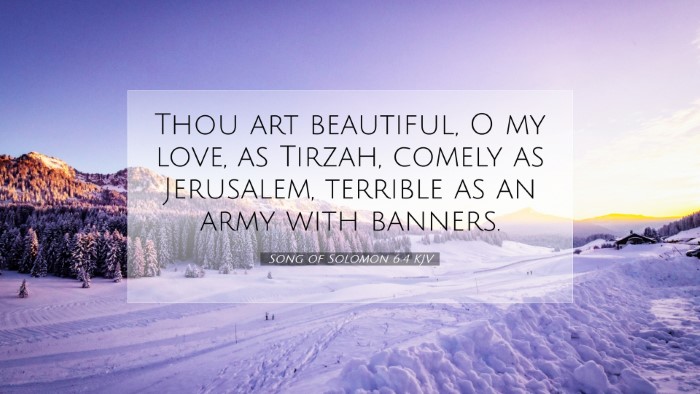 Picture 07 - Song of Solomon 6:4 KJV Desktop Wallpaper - Thou art beautiful, O my love, as Tirzah, comely - Desktop Bible Verse Wallpaper