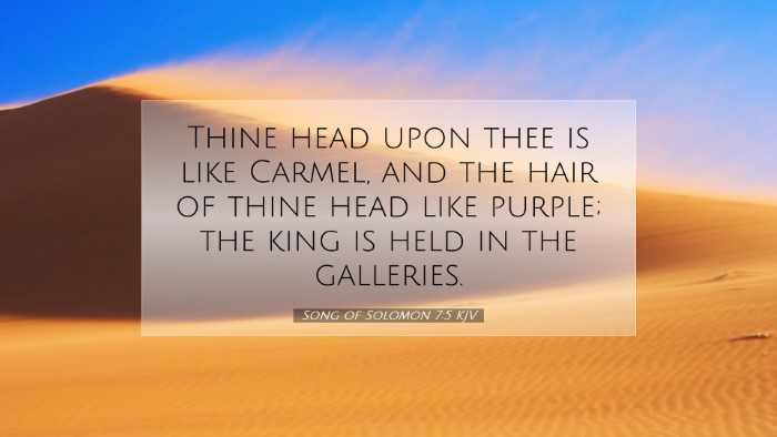 Picture 07 - Song of Solomon 7:5 KJV Desktop Wallpaper - Thine head upon thee is like Carmel, and the hair - Desktop Bible Verse Wallpaper