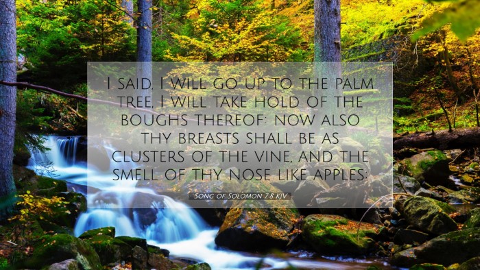 Picture 07 - Song of Solomon 7:8 KJV Desktop Wallpaper - I said, I will go up to the palm tree, I will - Desktop Bible Verse Wallpaper