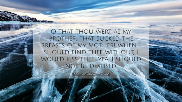 Picture 07 - Song of Solomon 8:1 KJV Desktop Wallpaper - O that thou wert as my brother, that sucked the - Desktop Bible Verse Wallpaper