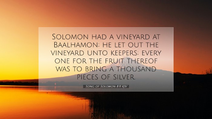 Picture 07 - Song of Solomon 8:11 KJV Desktop Wallpaper - Solomon had a vineyard at Baalhamon; he let out - Desktop Bible Verse Wallpaper