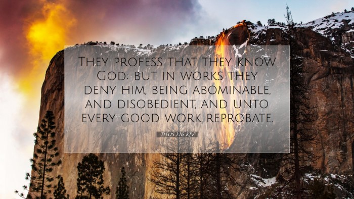 Picture 07 - Titus 1:16 KJV Desktop Wallpaper - They profess that they know God; but in works - Desktop Bible Verse Wallpaper
