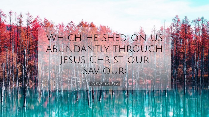 Picture 07 - Titus 3:6 KJV Desktop Wallpaper - Which he shed on us abundantly through Jesus - Desktop Bible Verse Wallpaper