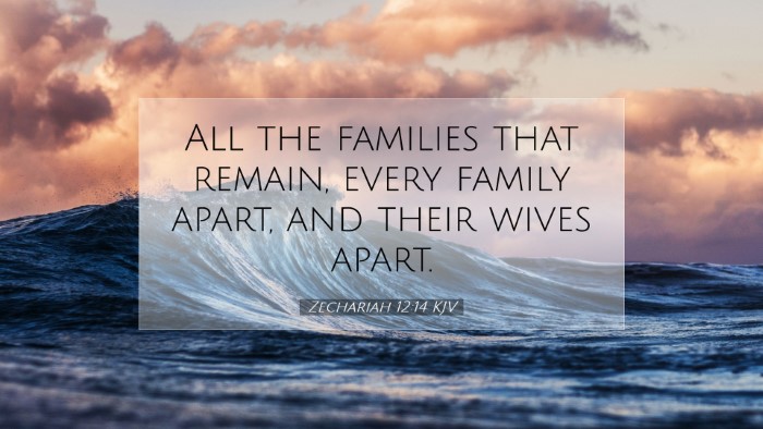 Picture 07 - Zechariah 12:14 KJV Desktop Wallpaper - All the families that remain, every family apart, - Desktop Bible Verse Wallpaper