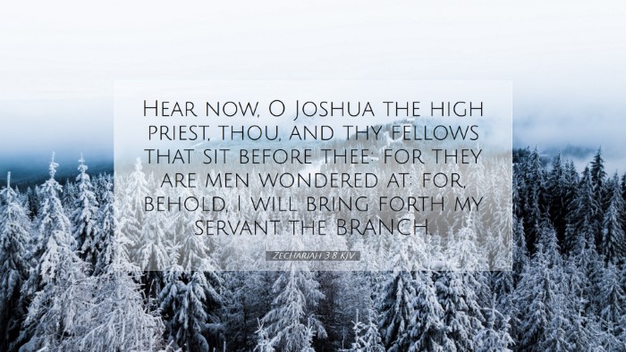 Picture 07 - Zechariah 3:8 KJV Desktop Wallpaper - Hear now, O Joshua the high priest, thou, and thy - Desktop Bible Verse Wallpaper
