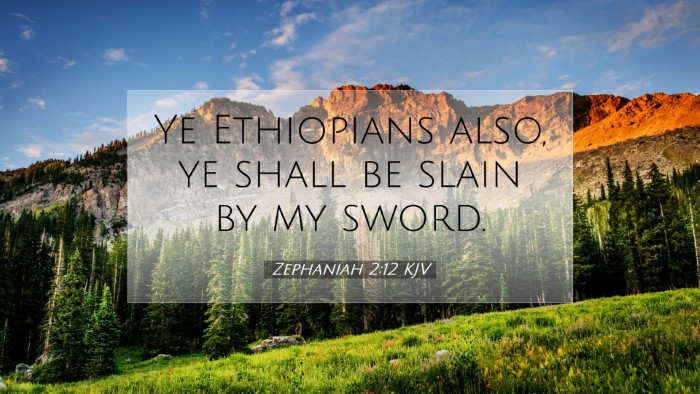 Picture 07 - Zephaniah 2:12 KJV Desktop Wallpaper - Ye Ethiopians also, ye shall be slain by my - Desktop Bible Verse Wallpaper