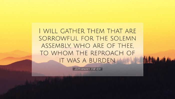 Picture 07 - Zephaniah 3:18 KJV Desktop Wallpaper - I will gather them that are sorrowful for the - Desktop Bible Verse Wallpaper