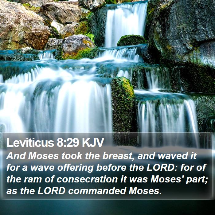 Leviticus 8:29 KJV - And Moses took the breast, and waved it for a - Bible Verse Picture