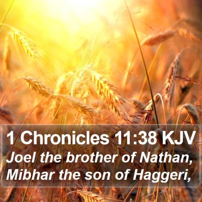 1 Chronicles 11:38 KJV Bible Verse Image