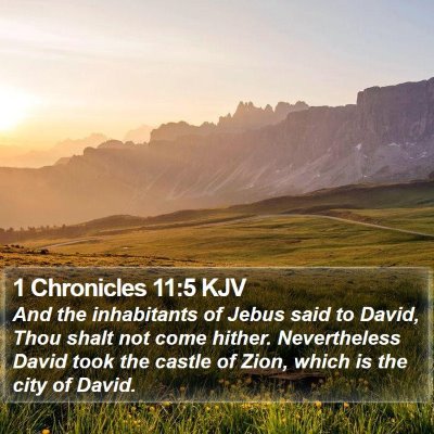 1 Chronicles 11:5 KJV Bible Verse Image