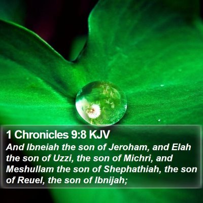 1 Chronicles 9:8 KJV Bible Verse Image
