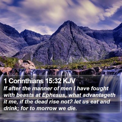 1 Corinthians 15:32 KJV Bible Verse Image
