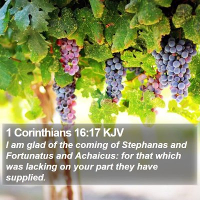 1 Corinthians 16:17 KJV Bible Verse Image