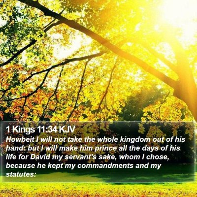 1 Kings 11:34 KJV Bible Verse Image