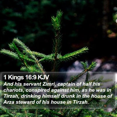 1 Kings 16:9 KJV Bible Verse Image