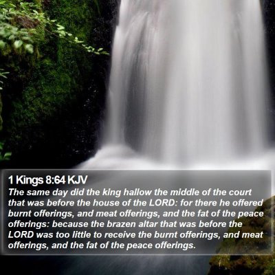 1 Kings 8:64 KJV Bible Verse Image