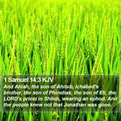 1 Samuel 14:3 KJV Bible Verse Image