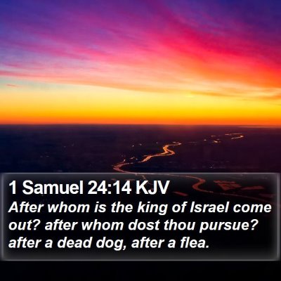 1 Samuel 24:14 KJV Bible Verse Image