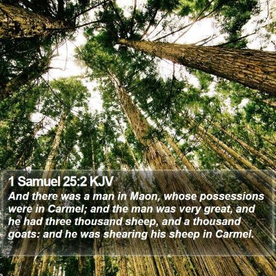 1 Samuel 25:2 KJV Bible Verse Image