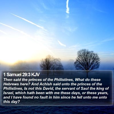 1 Samuel 29:3 KJV Bible Verse Image