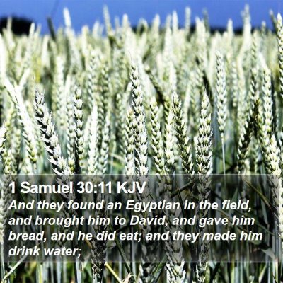 1 Samuel 30:11 KJV Bible Verse Image
