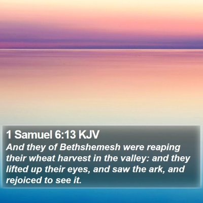 1 Samuel 6:13 KJV Bible Verse Image