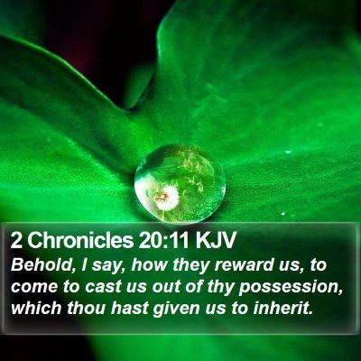2 Chronicles 20:11 KJV Bible Verse Image