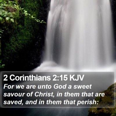 2 Corinthians 2:15 KJV Bible Verse Image
