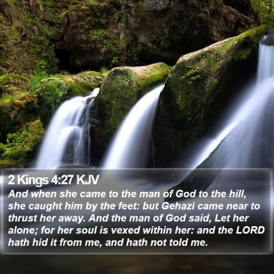 2 Kings 4:27 KJV Bible Verse Image