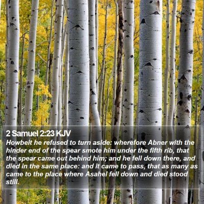 2 Samuel 2:23 KJV Bible Verse Image